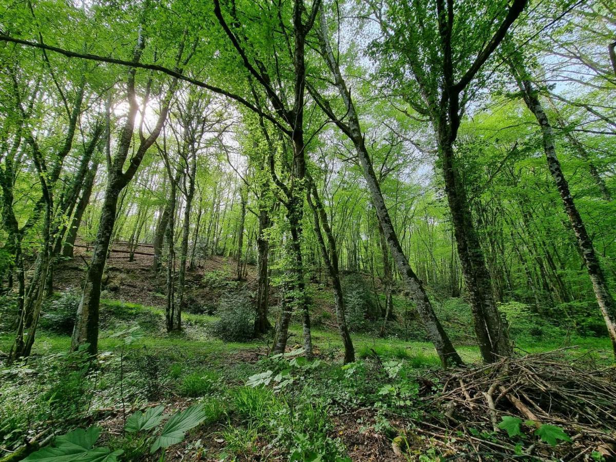 Le Domaine Du Cerf - Gites, Nature Et Spa Saint-Ouen-les-Vignes 外观 照片
