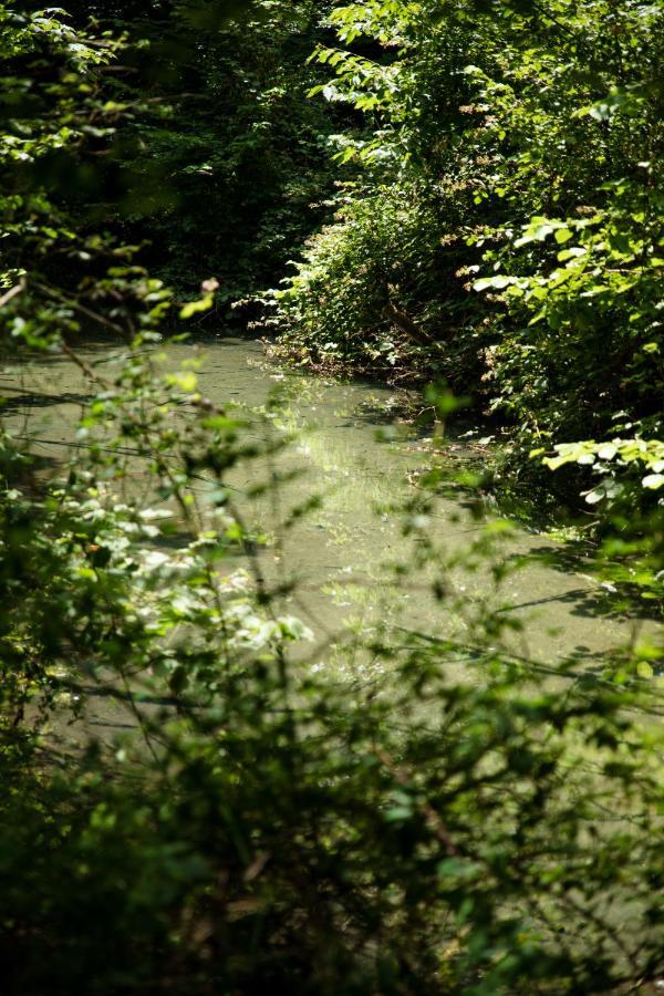 Le Domaine Du Cerf - Gites, Nature Et Spa Saint-Ouen-les-Vignes 外观 照片