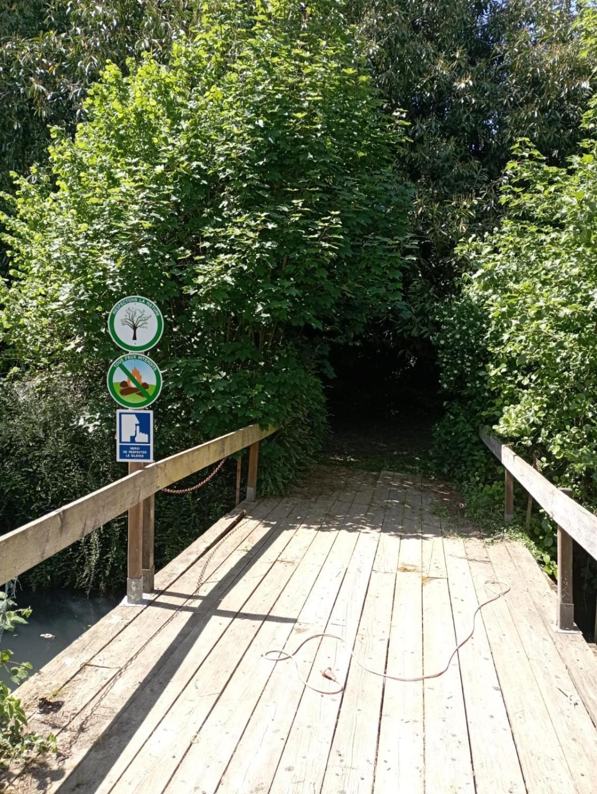Le Domaine Du Cerf - Gites, Nature Et Spa Saint-Ouen-les-Vignes 外观 照片